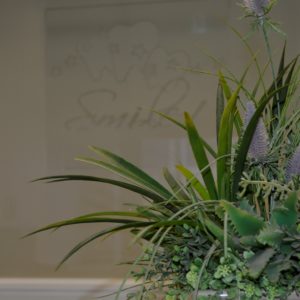Dr. Jin Feng - Smiles on Sheppard Dental Centre