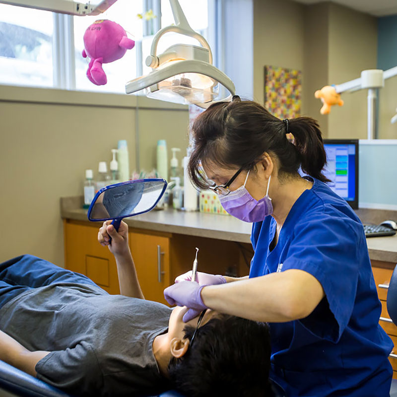 Image of Ziedenberg Orthodontics Dr Mark Ziedenberg clinic - Dental Clinic Directory