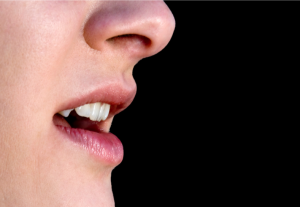 Image of Bloor West Dental, Health & Wellness clinic - Dental Clinic Directory
