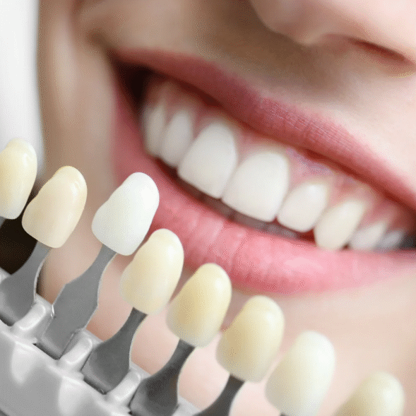 Image of Bloor West Dental, Health & Wellness clinic - Dental Clinic Directory