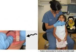 Image of Yonge Wellington Dental clinic - Dental Clinic Directory