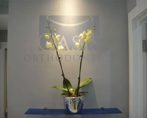 Image of Oasis Orthodontics clinic - Dental Clinic Directory