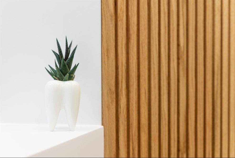 Image of Chandler & Nightingale Dental clinic - Dental Clinic Directory