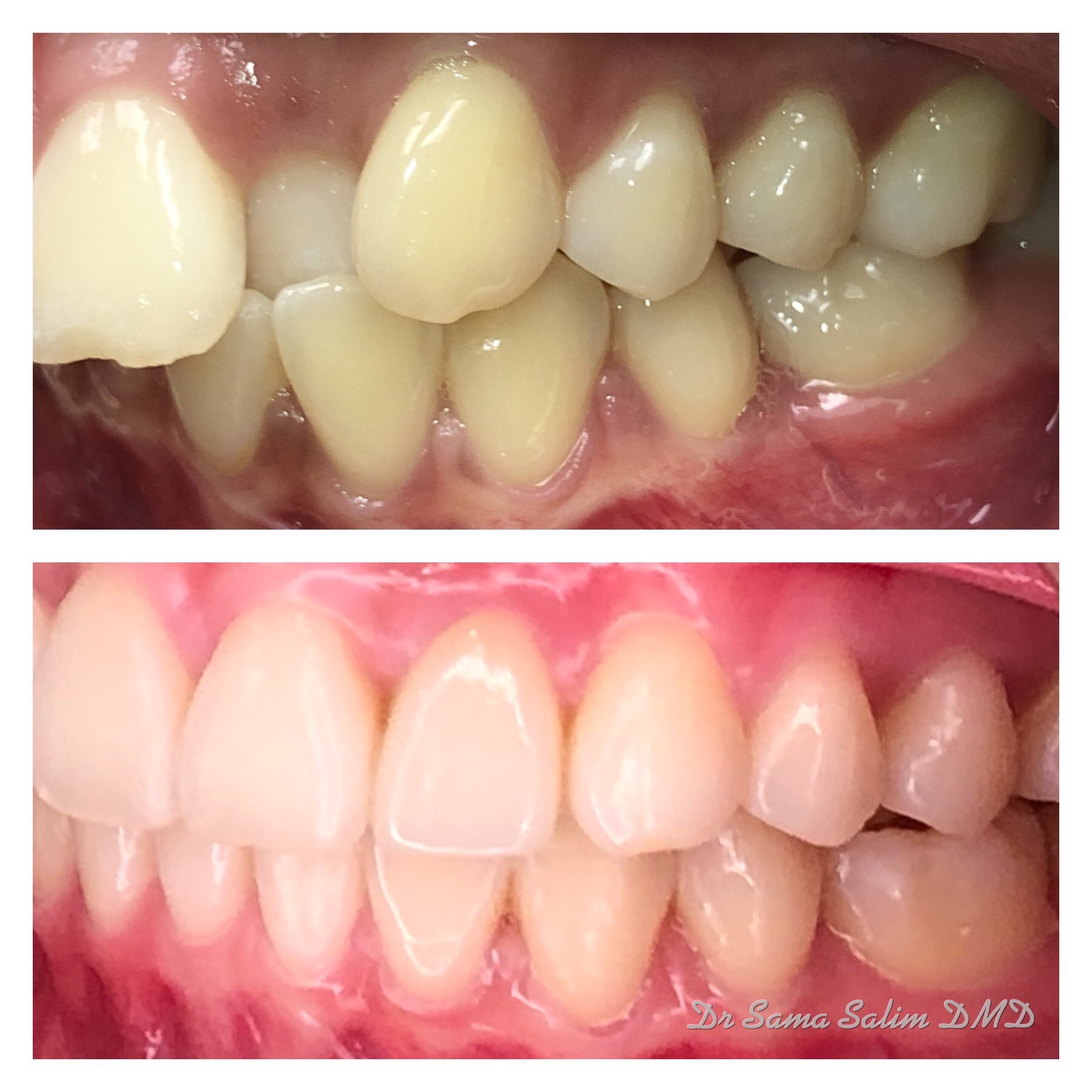 Image of 16 Mile Dental clinic - Dental Clinic Directory