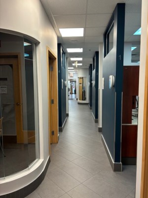 Image of Chapman Mills Dental Nepean clinic - Dental Clinic Directory