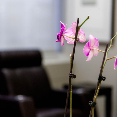 Image of Bay Street Dental Associates clinic - Dental Clinic Directory