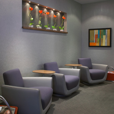 Endodontic Specialists - Bay Street