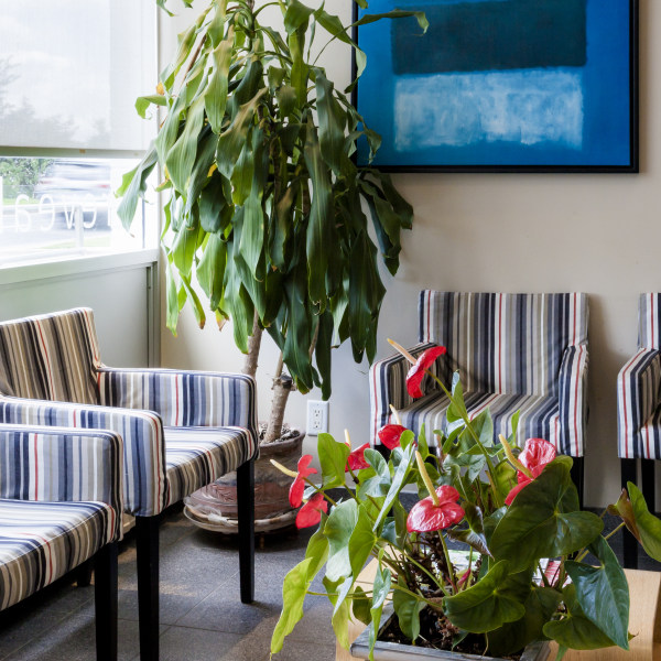 Park Lawn Dental - Etobicoke Dentist
