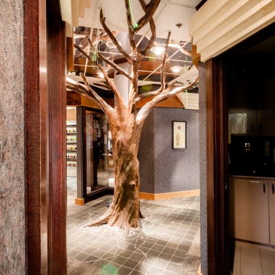 Image of dentalhouse - Woodbridge Dental clinic - Dental Clinic Directory