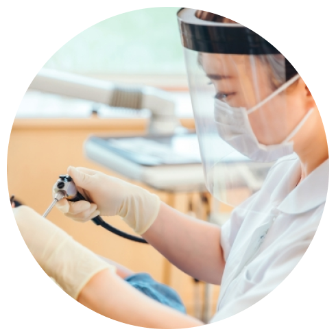 Image of DFC Dentistry for Children clinic - Dental Clinic Directory