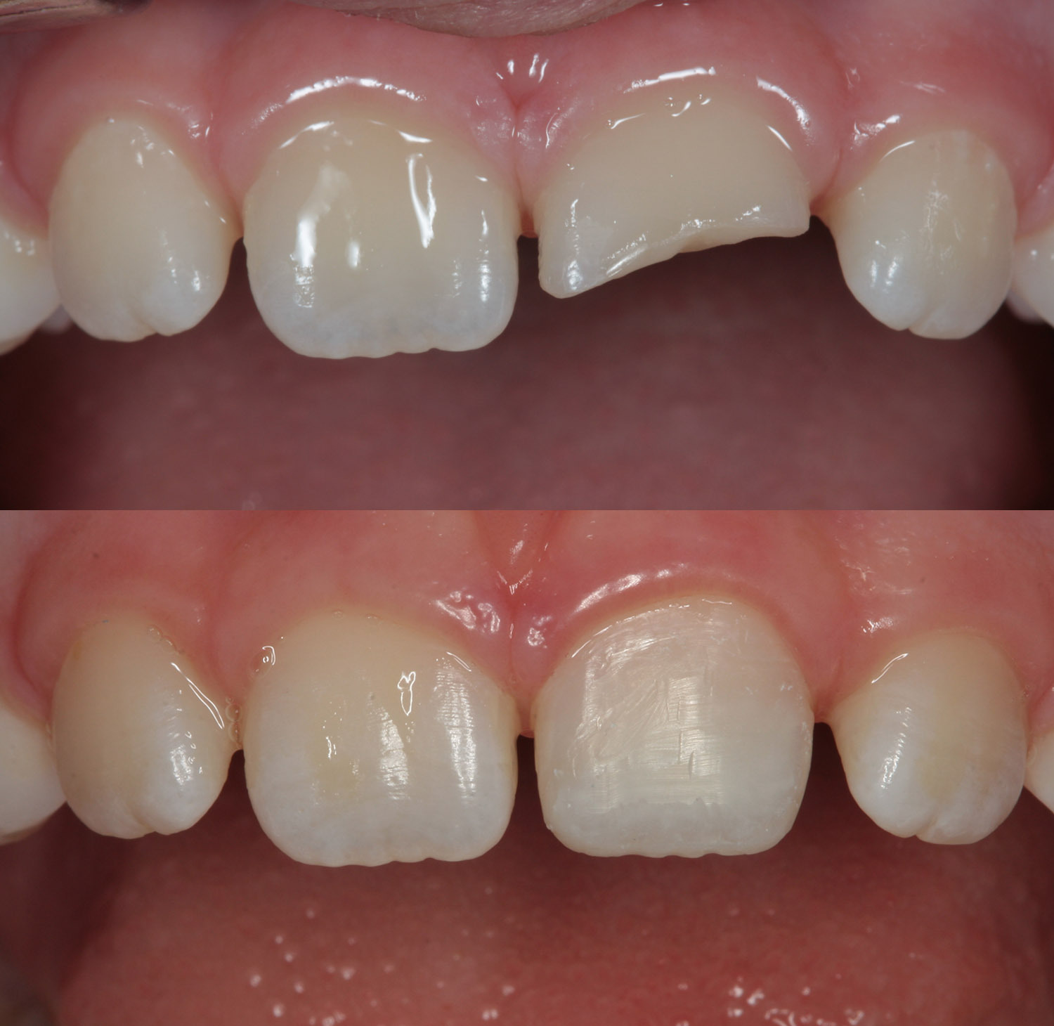 Image of Wellington Aurora Dental clinic - Dental Clinic Directory
