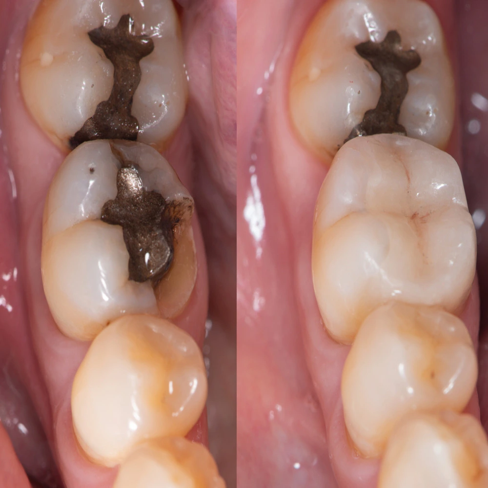 Image of PL Dental By Everbright Smiles clinic - Dental Clinic Directory