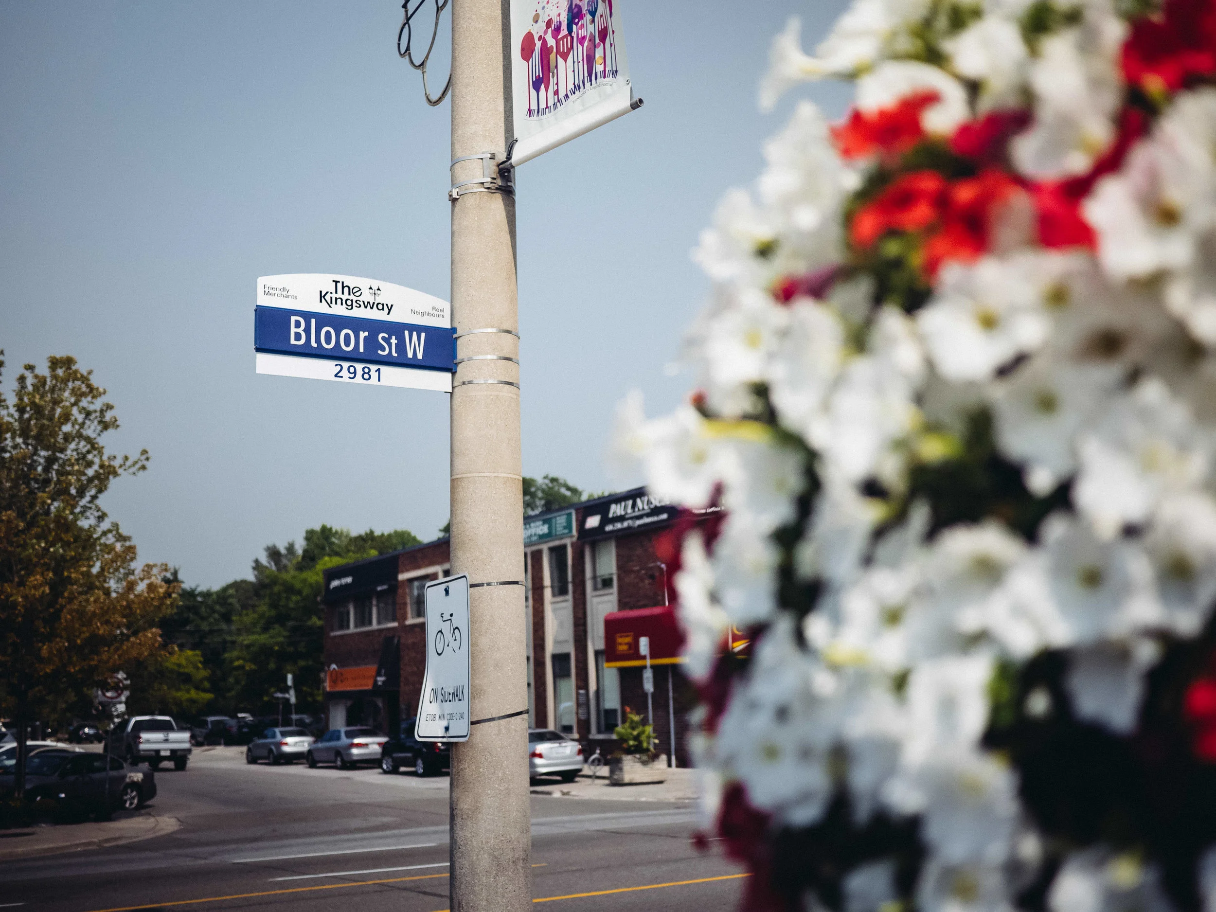 Image of Kingsway Family Dentistry clinic - Dental Clinic Directory
