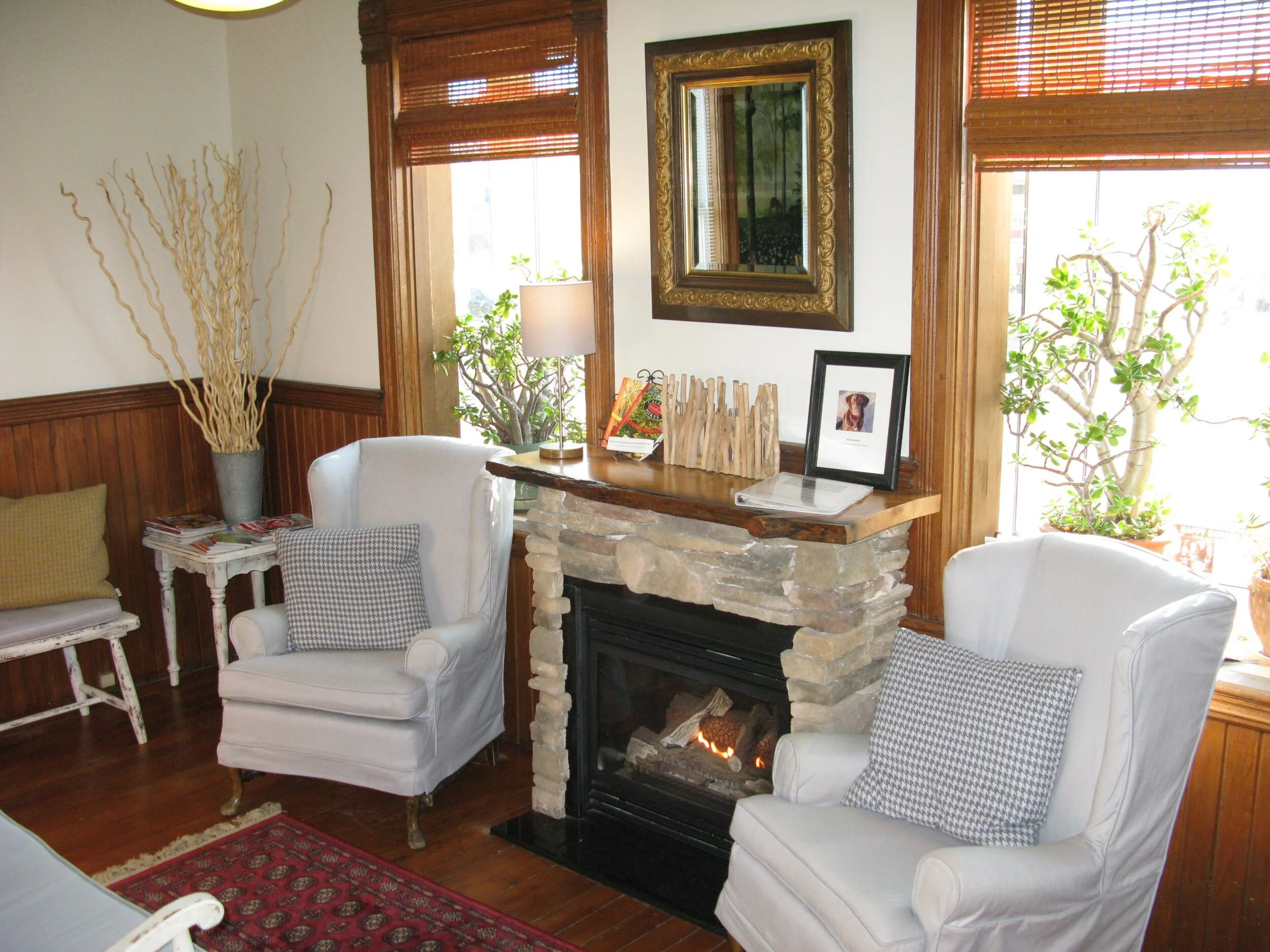 Image of Elmtree Dental clinic - Dental Clinic Directory