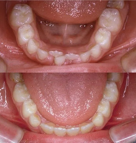 Image of 20 Finch Dental clinic - Dental Clinic Directory