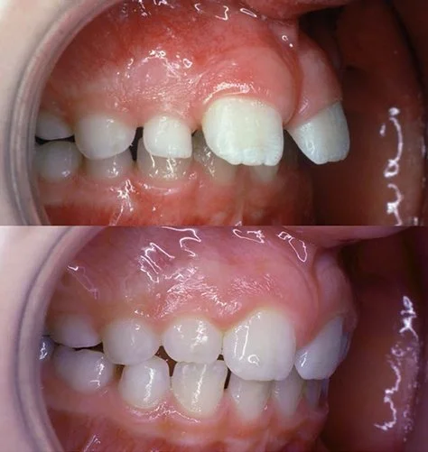 Image of 20 Finch Dental clinic - Dental Clinic Directory