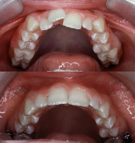 Image of 20 Finch Dental clinic - Dental Clinic Directory