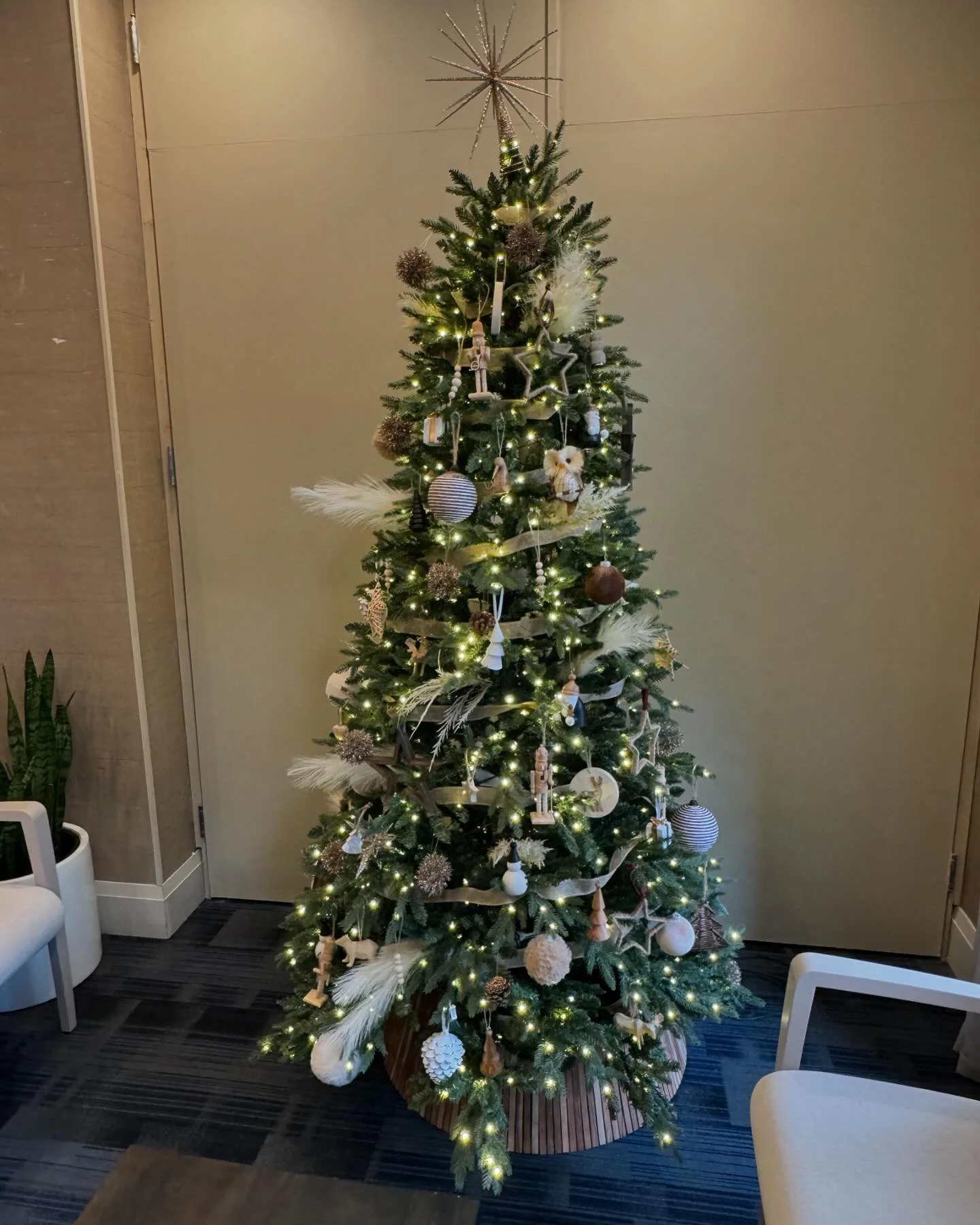 Image of Miller Goodman Dentistry clinic - Dental Clinic Directory