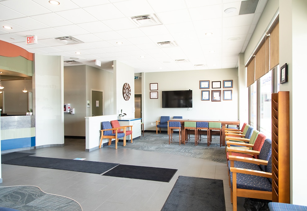 Kingston Orthodontics