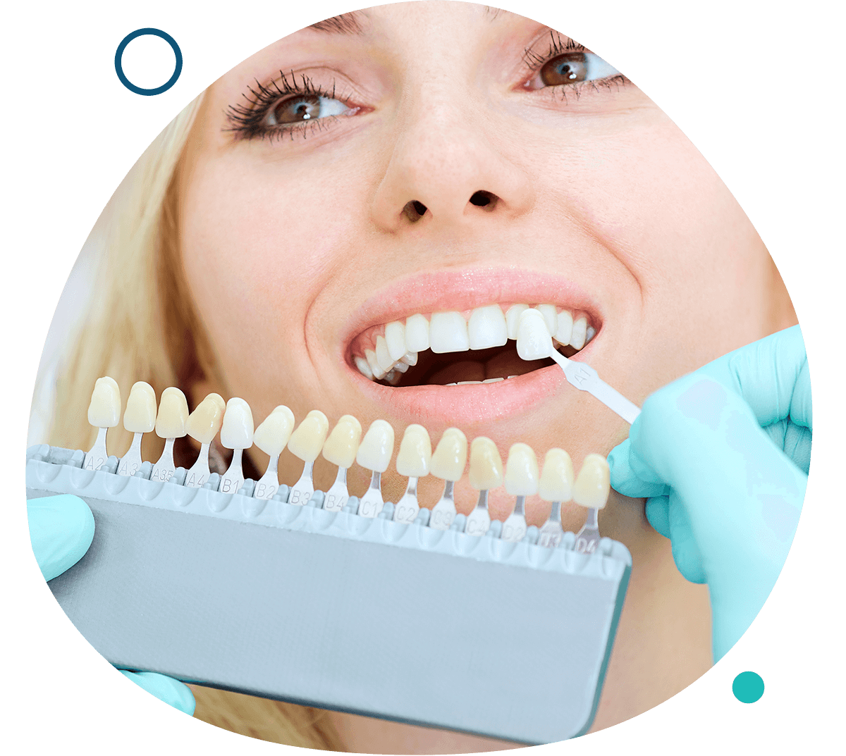 Image of Lakeshore Dentistry - Port Credit clinic - Dental Clinic Directory
