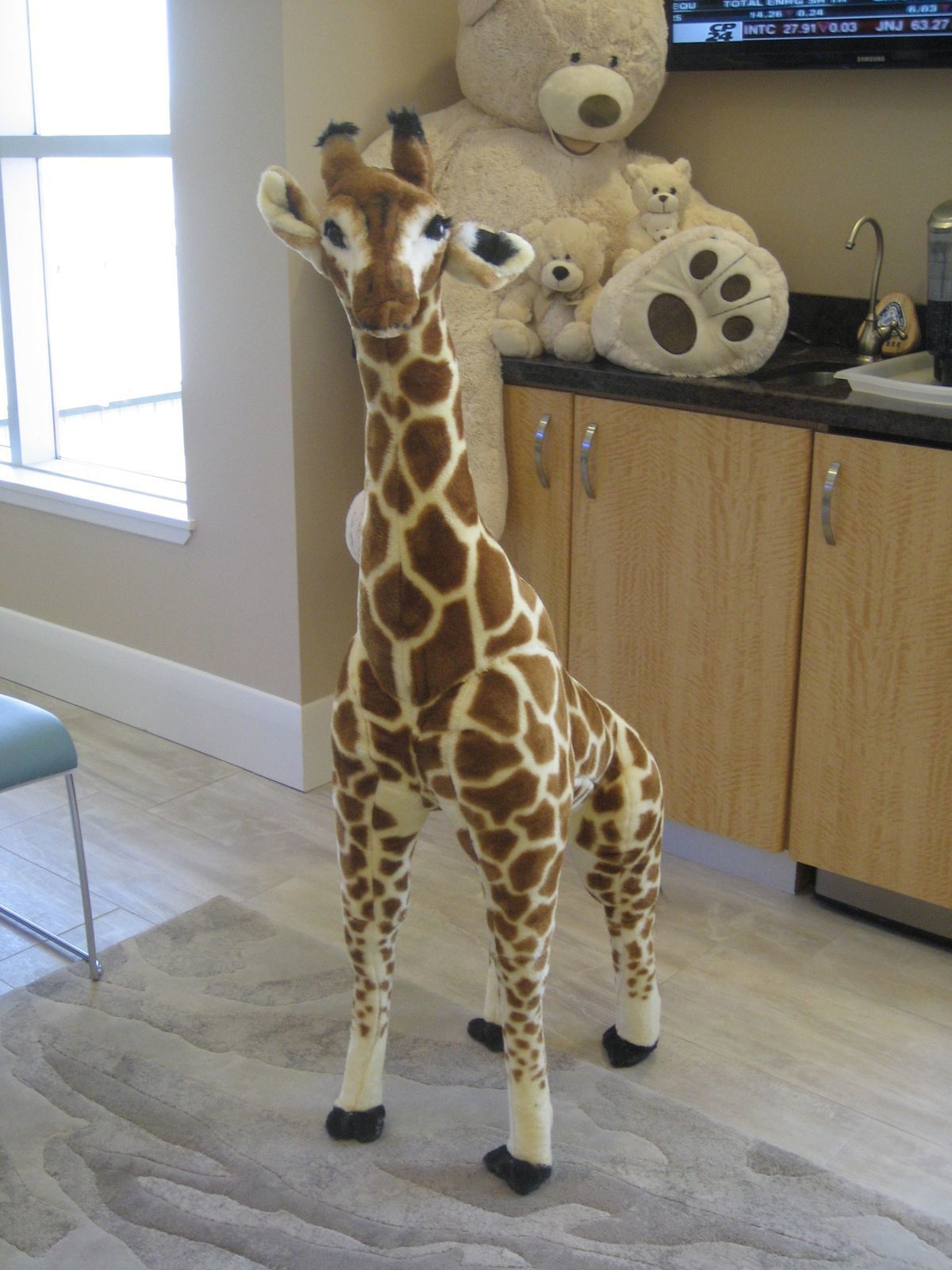 Image of Kidsworld Pediatric Dentistry clinic - Dental Clinic Directory