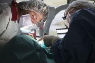 Dentistry @ Erin Mills
