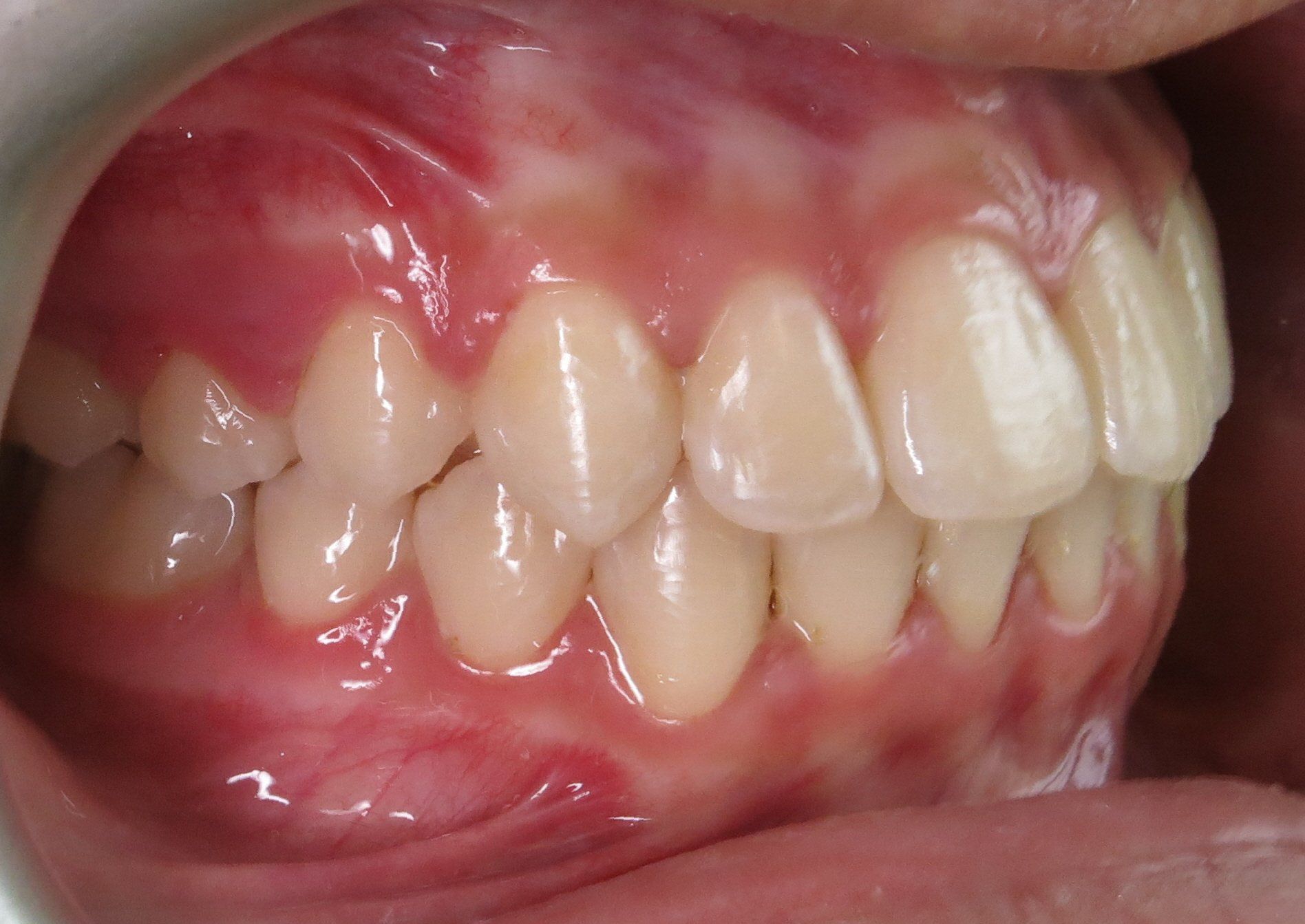 Image of BHG Orthodontics clinic - Dental Clinic Directory