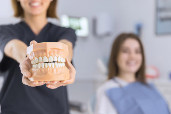 Image of Meneses Dentistry clinic - Dental Clinic Directory
