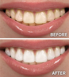 Image of Northland Dental Centre clinic - Dental Clinic Directory