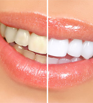 Monastery Dental