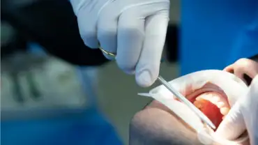 Image of Ottawa Smiles Family Dental clinic - Dental Clinic Directory