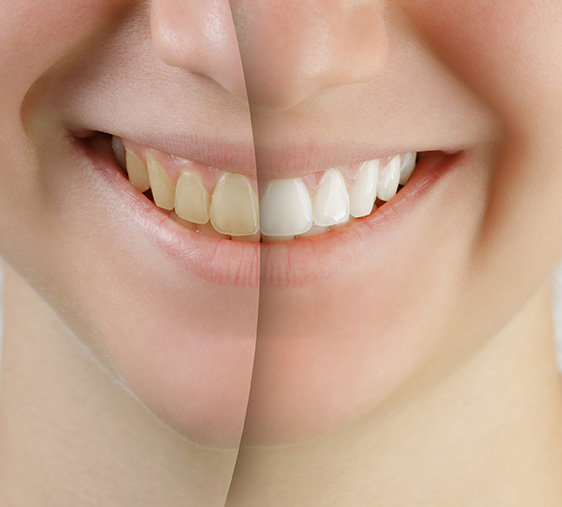 Image of Picton Dental Centre clinic - Dental Clinic Directory