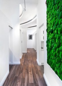 Image of Bitehaus Dental clinic - Dental Clinic Directory