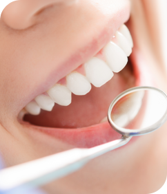 Image of Venice Dental clinic - Dental Clinic Directory
