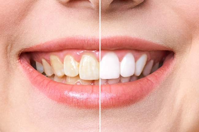 Image of Viva Dental Thunder Bay clinic - Dental Clinic Directory