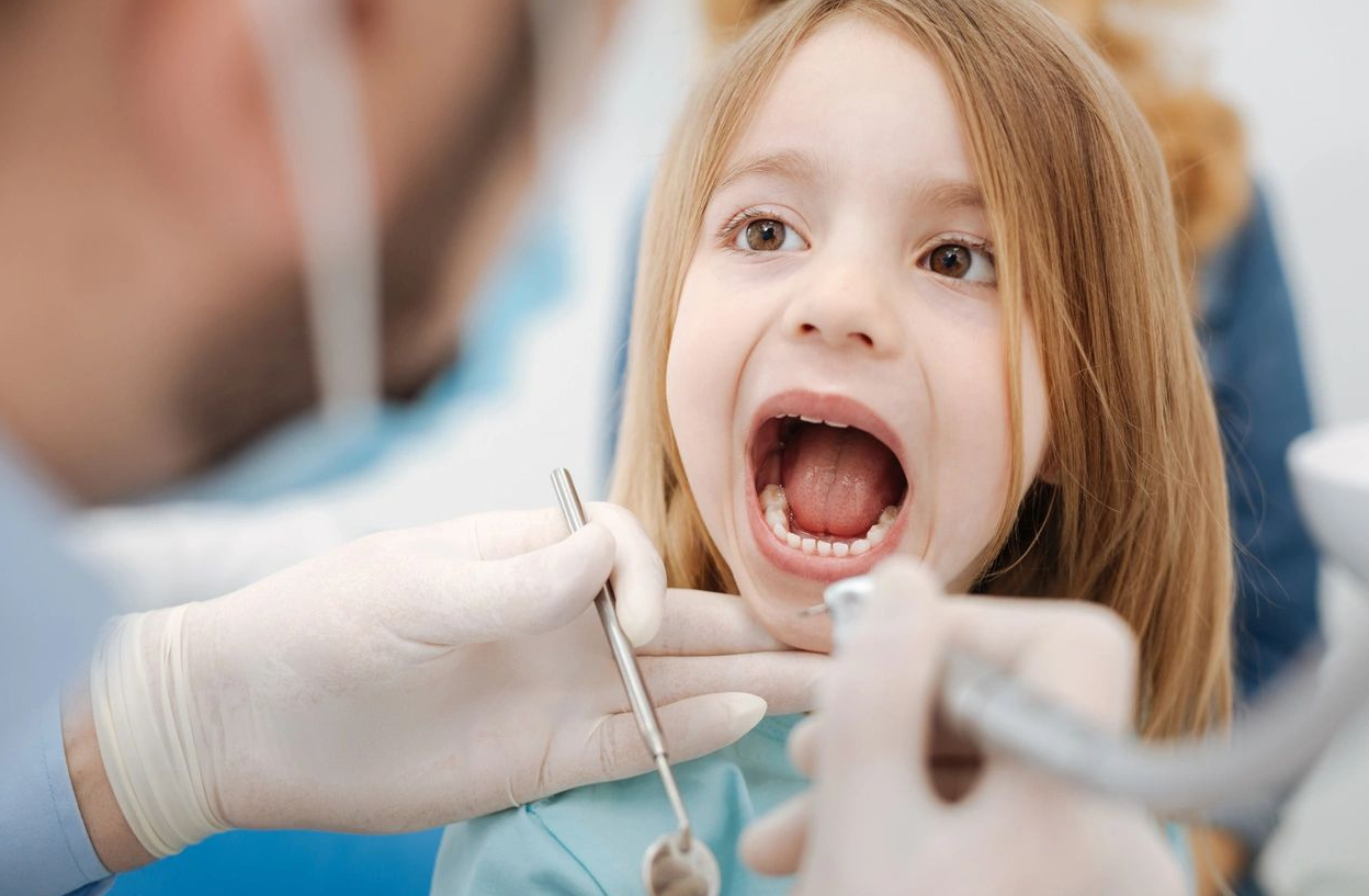 Image of Wonderland Dental Office clinic - Dental Clinic Directory
