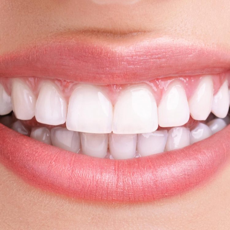 Image of Glencairn Dental North York - Dr. Maria Pereira clinic - Dental Clinic Directory