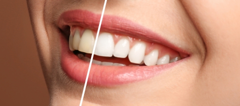 Image of Mer Bleue Dental Centre clinic - Dental Clinic Directory