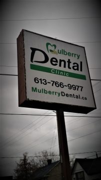 Mulberry Dental