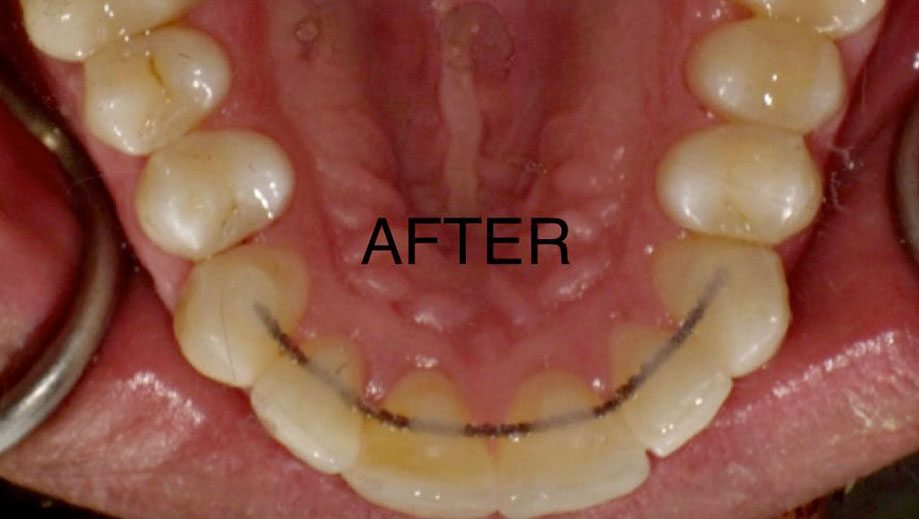 Image of North York Dental Clinic clinic - Dental Clinic Directory