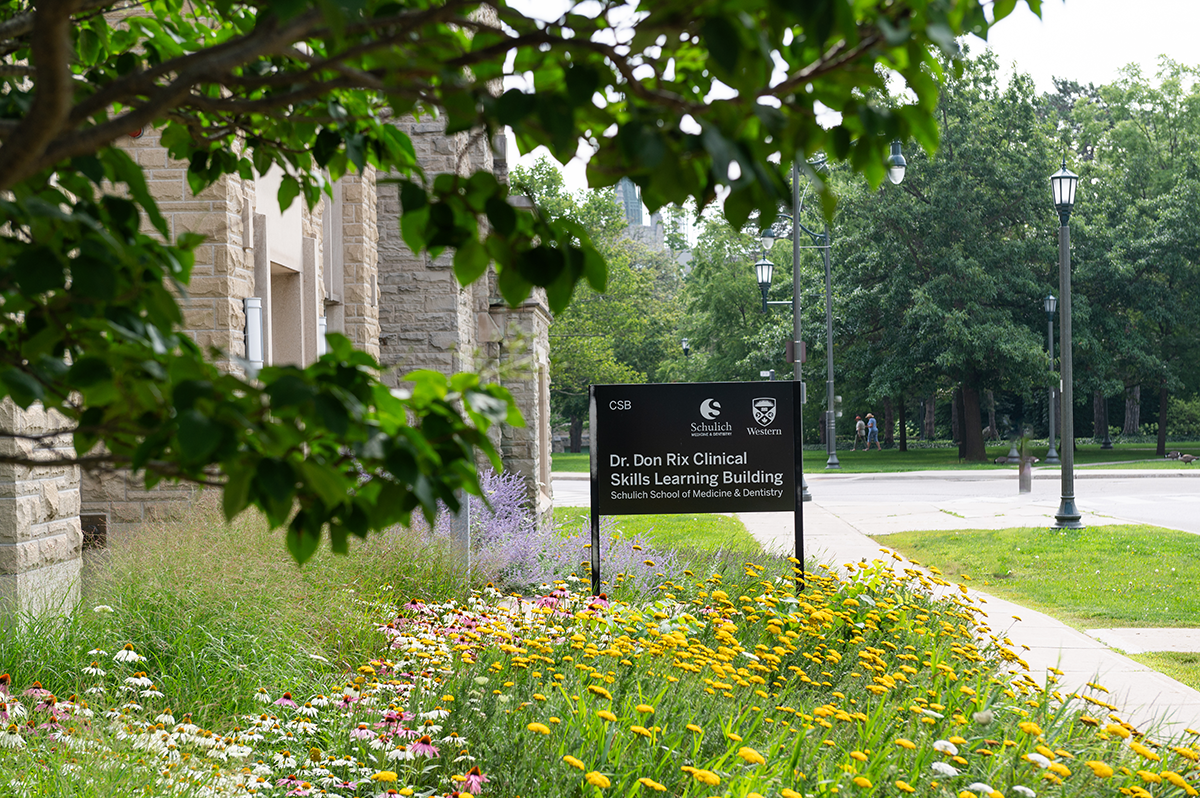 Image of Schulich School of Medicine & Dentistry clinic - Dental Clinic Directory