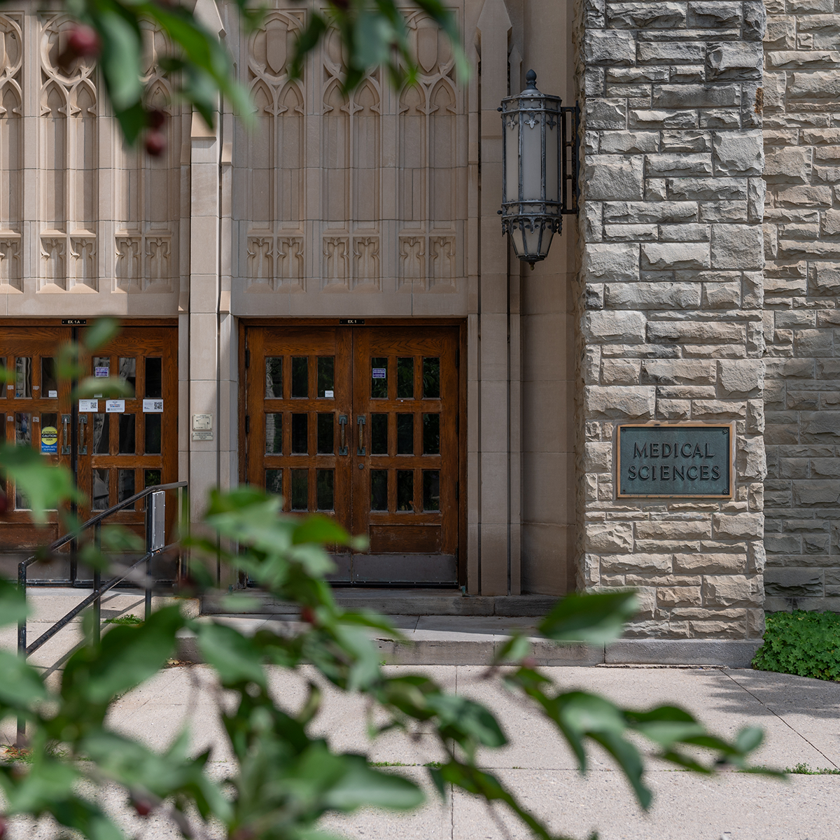 Image of Schulich School of Medicine & Dentistry clinic - Dental Clinic Directory