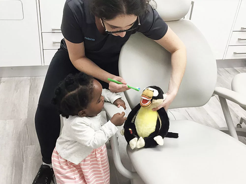 Image of SmileSquad Kids Dental + Orthodontics clinic - Dental Clinic Directory