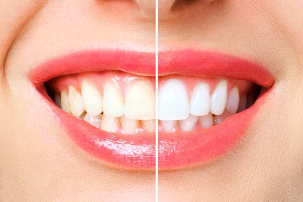 Image of Steeles Weston Family Dental North York clinic - Dental Clinic Directory