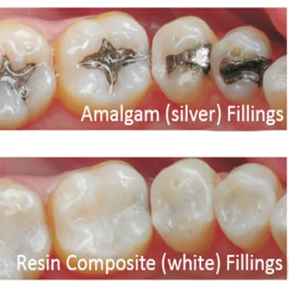 Image of The Dental Corner clinic - Dental Clinic Directory