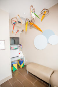 Image of The Stockyards Dental clinic - Dental Clinic Directory