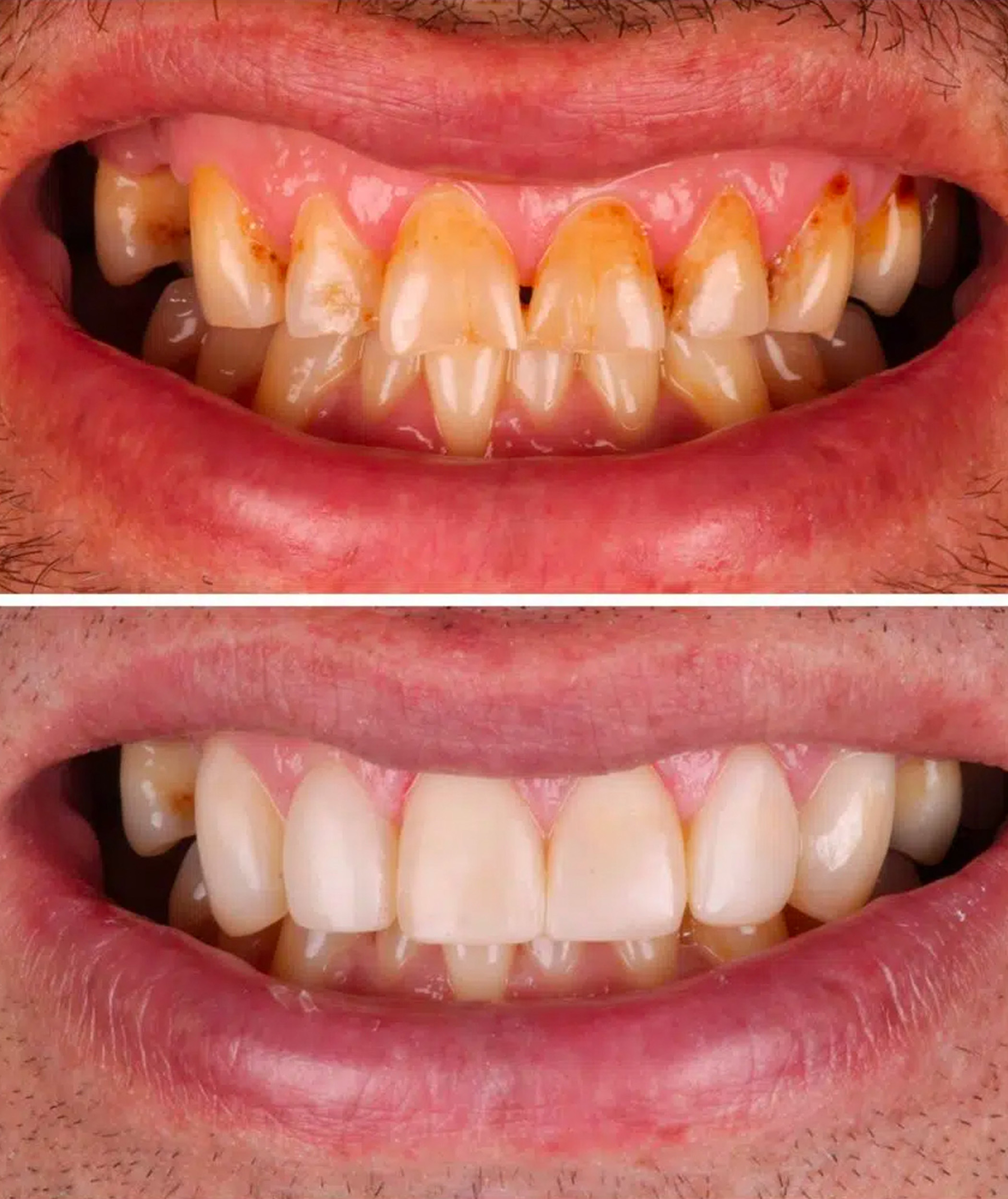 Image of Yonge Forest Dental clinic - Dental Clinic Directory