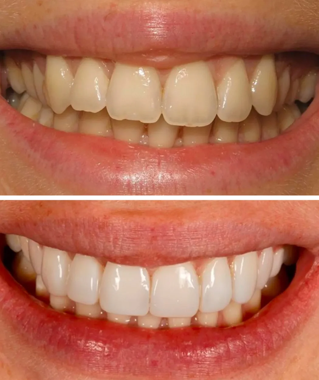Image of Yonge Forest Dental clinic - Dental Clinic Directory