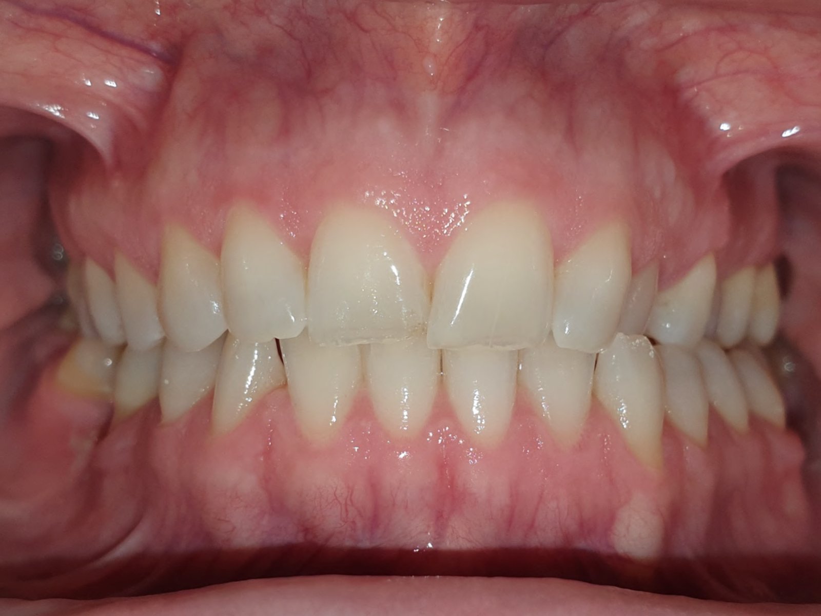 Image of York Orthodontics - North York clinic - Dental Clinic Directory